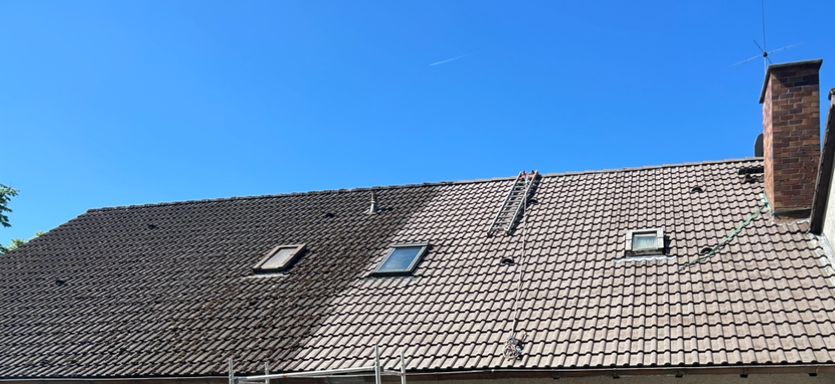 Dach Reinigung Imprägnierung Beschichtung
